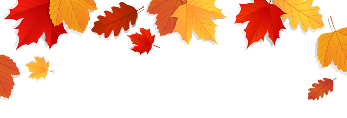 Naklejka na ściany i meble Autumn background. Falling autumn leaves banner design. Vector illustration