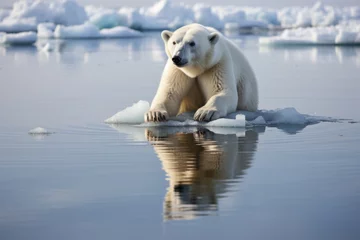 Schilderijen op glas Polar bear on ice floe. Melting arctic ice caused by climate change and global warming. © ekim