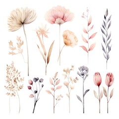 Set of watercolor dry flowers on white background. Generative AI - obrazy, fototapety, plakaty