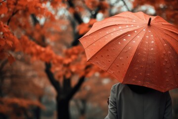 Person holding an umbrella under a soft autumn rain - Gentle Drizzles, Autumn Season - AI Generated