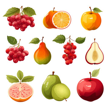 Beautiful autumn fruits and berries clip art illustrations, isolated on transparent background.