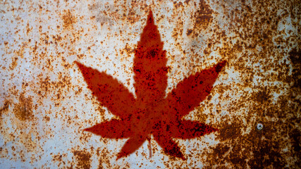 cannabis leaf texture as background