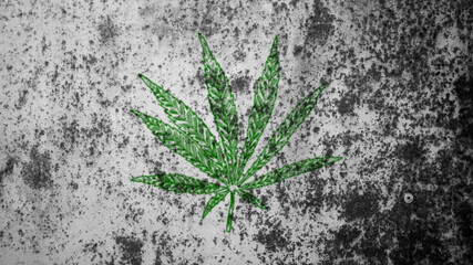 cannabis leaf texture as background