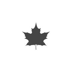 Maple leaf icon illustration isolated on White background
