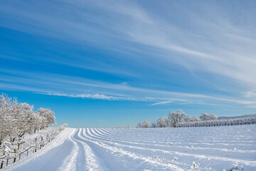 Way through beautiful winter landscape on a cold morning against an amazing blue sky.