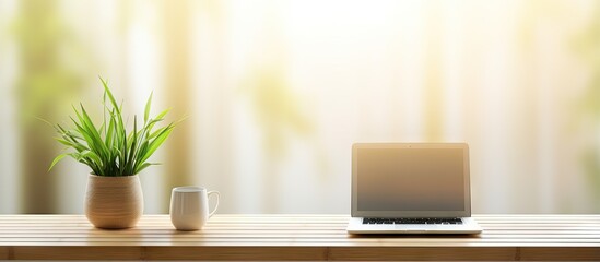 Modern room with desk holding laptop vase of bamboo