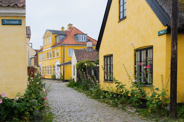 Fototapeta na wymiar Bucolic and pretty streets in the village of Dragør, in Denmark.