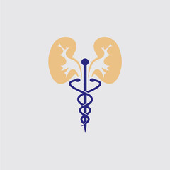 nephrology logo , anatomy logo vector