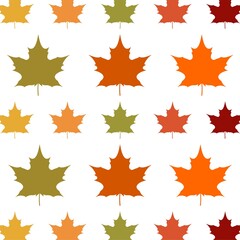 Autumnal maple leaves on a white background