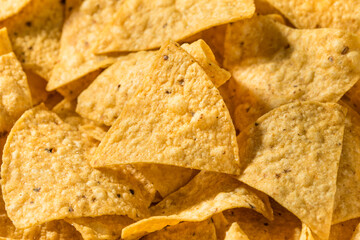 Homemade Triangle Tortilla Corn Chips