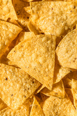 Homemade Triangle Tortilla Corn Chips