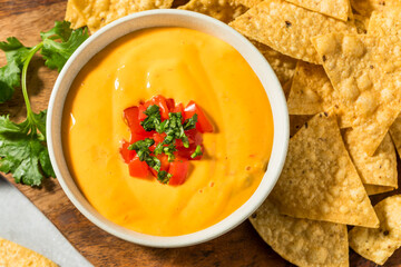 Warm Homemade Cheesy Queso Dip