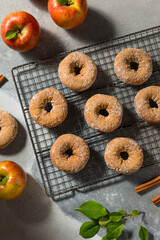 Sweet Homemade Apple Cider Donuts