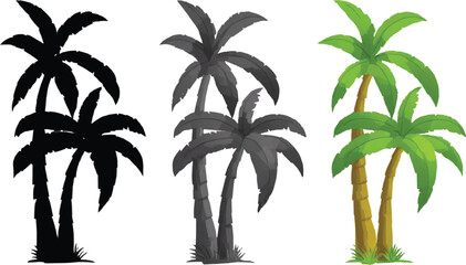 Three different types of palm trees on a white background - obrazy, fototapety, plakaty