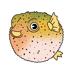 Puffer fish © PAWEENA