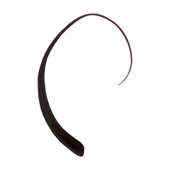 Ukrainian folk art of Petrykivka branch