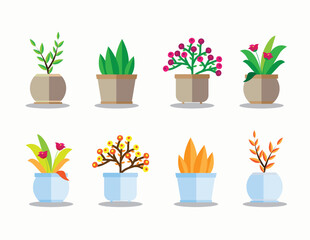 flowers in pots