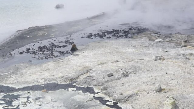 steaming hydrothermal outlet on the shore of the hot lake in the caldera of the Golovnin volcano on the island of Kunashir