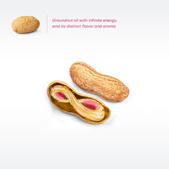 Groundnut oil. A conceptual advertisement for edible groundnut oil. This oil has infinite energy, distinct flavor and aroma