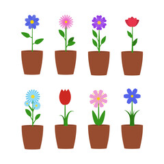 Flowers growing in pots set flat illustration
