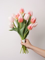 Female hand holding flower bouquet of tulips isolated on white background, gift concept.