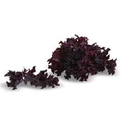 heap of black and green tea