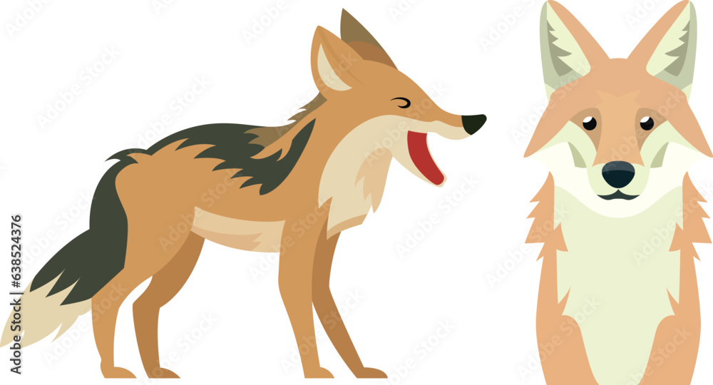 Wall mural Coyote fox in two different poses, flat style vector illustration. Prairie wolf, brush wolf, cased wolf, American jackal, little wolf flat style stock vector image