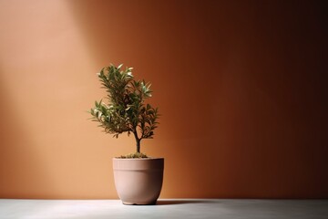 A solitary potted plant on a blank backdrop. Generative AI