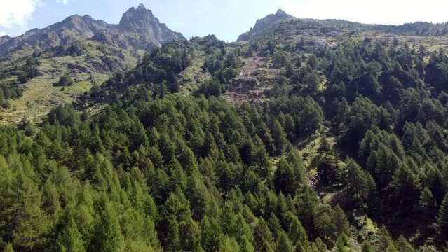 Aerial view of forest and mountains in Val Grande (Alta Valcamonica), Lombardy, Italy. Trees and mountain range seen from drone flying in the sky. Alpine valley and natural landscape of Italian Alps