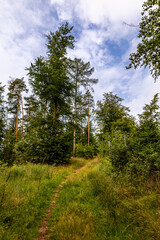 Sommerwanderung durch die Drachenschlucht in der Nähe von Eisenach - Thüringen - Deutschland