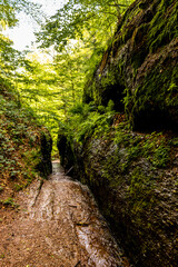 Sommerwanderung durch die Drachenschlucht in der Nähe von Eisenach - Thüringen - Deutschland