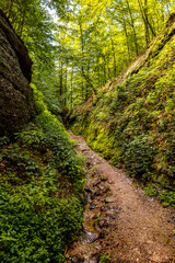 Sommerwanderung durch die Drachenschlucht in der Nähe von Eisenach - Thüringen - Deutschland