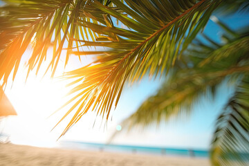 Abstract blur defocused background, nature of tropical summer beach with rays of sun light