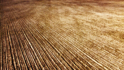 Arable field, aerial view. Landscape. Agricultural field as a background.