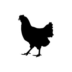 chicken silhouette
