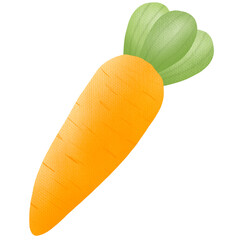 Hand drawn carrot drawing
