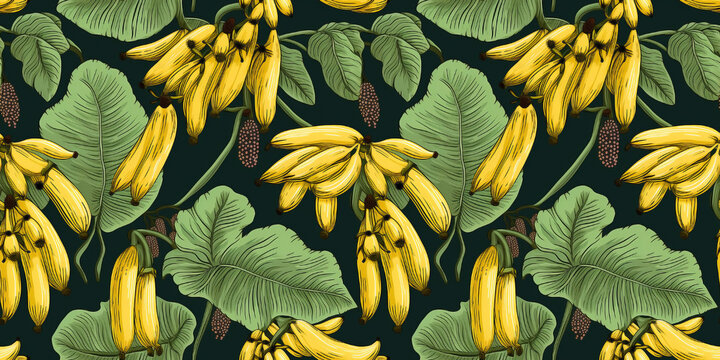 Seamless pattern with illustrated banana tree, plantain leaves. Concept: Vivid island florals.