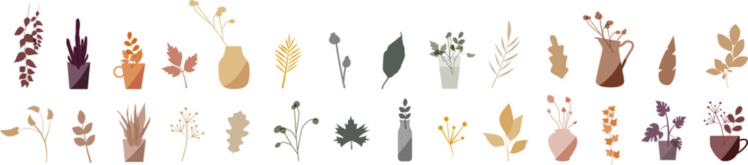 Set of different leaves and plants. Modern colour design.
