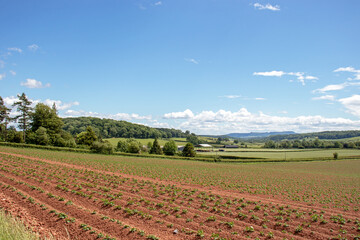 Agricultural landscape in the UK