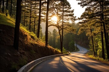 Obraz premium Open Road Leading Through Majestic Mountain Forest
