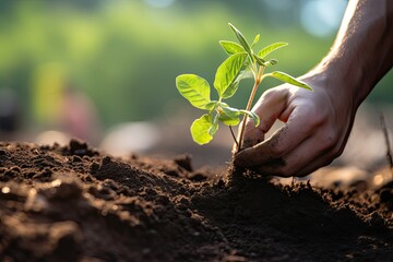 person planting a young tree into the soil - ecology reforestation concept (Generative AI)