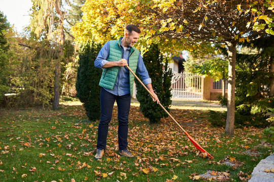 Man raking autumn leaves in garden