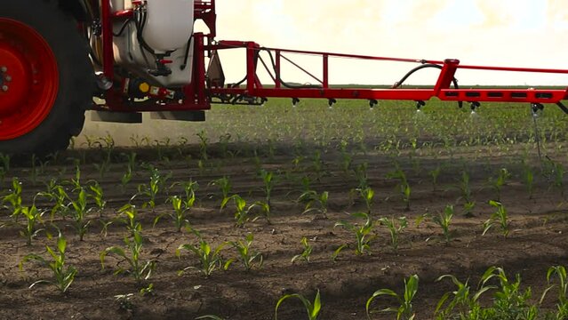  close-up of a tractor spraying pesticides on corn field  with sprayer at spring