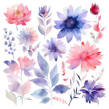 Watercolor flowers. Handmade. Illustration. Isolated on white background.
