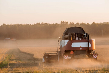 Agricultural machinery. Agricultural industry. The combine harvester removes  ears of ripe wheat against the background of a ripening field. The concept of planting and harvesting a rich harvest. 