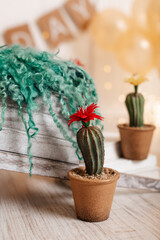 Artificial plant cactus in a pot with flowers