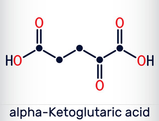 Alpha-ketoglutaric acid, 2-oxoglutaric acid, oxoglutarate, alpha ketoglutarate  molecule. It is intermediate metabolite in Krebs cycle. Skeletal chemical formula. Vector