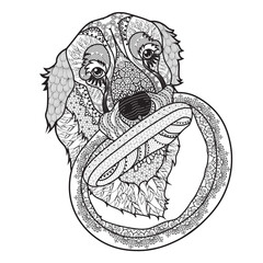 dog play with toy mandala drawing zentangle illustration
