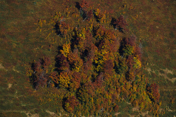 Beautiful orange and red autumn forest, many trees , Bohemian Switzerland National Park, Czech Republic.
