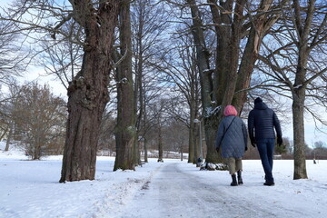 Winter landscape. Couple walking. Woman with pink hair.
